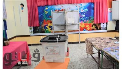 الحصر العددى لدائرة طنطا في الغربية.. تقدم شهاب وعيسى وغباشي