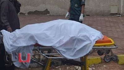 استعجال التحريات بواقعة مقتل شاب على يد شقيقه بمنشأة ناصر