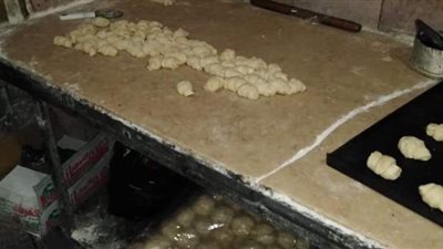 المرور على ٢٢٠ منشأة وإعدام 1.5 طن  أغذية غير صالحة في الدقهلية