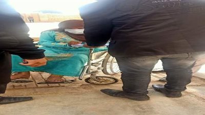 قاض يخرج لناخبة من ذوي الهمم للإدلاء  بصوتها في قليوب