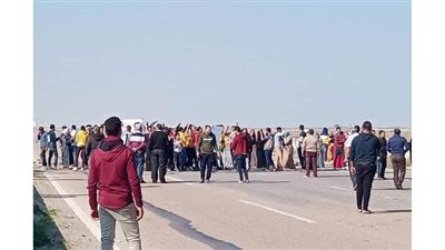 القبض على 11 من أنصار مرشح خاسر قطعوا الطريق في الدقهلية | صور
