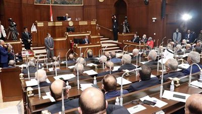 «إعفاءات لائحة الشيوخ» تشعل مجلس «النواب».. مطالب باللجوء إلى سيناريو حذف «النص».. و5 آلاف جنيه مكافأة النائب الشهرية