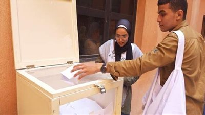 بالأسماء.. اللجنة المشرفة على انتخابات اتحاد الطلاب بجامعة حلوان