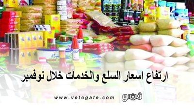 ارتفاع أسعار السلع والخدمات خلال نوفمبر | إنفوجراف