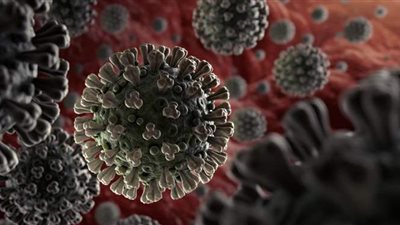 استشاري صحة عامة: لا يوجد تطعيم ضد كورونا حتى الآن