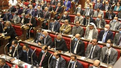 خدمات وامتيازات يحصل عليها أعضاء مجلس الشيوخ.. تعرف عليها