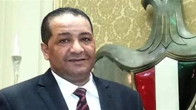 برلماني يطالب الحكومة استغلال الاكتشافات الأثرية للترويج للسياحة