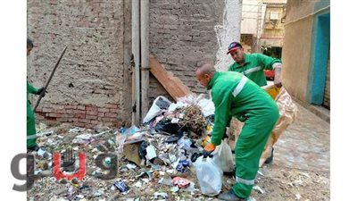 استمرار أعمال النظافة والتشجير بديرب نجم شرقية