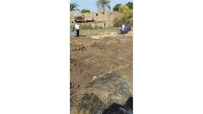 إزالة منزل لتعديه على الأراضي الزراعية في الأقصر| صور