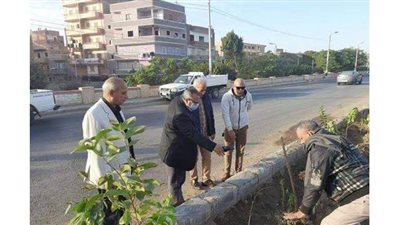 زراعة ١٠٠ شجرة مثمرة بمركز أبوقرقاص بالمنيا