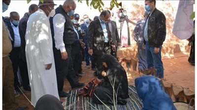 محافظ الوادي الجديد يتفقد قرية البشندي ببلاط