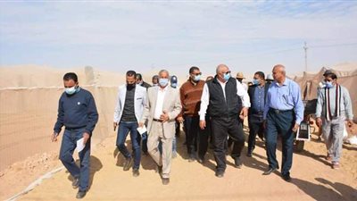 محافظ الوادي الجديد يتفقد مشروع الصوب الزراعية بالمعصرة