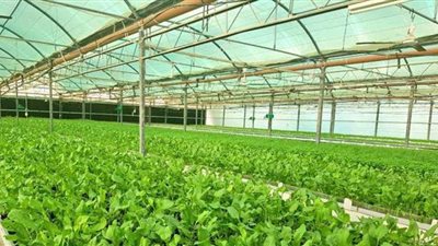 5.5 مليارات جنيه حجم الإنفاق الحكومي على بحوث القطاع الزراعي في العامين الماضيين