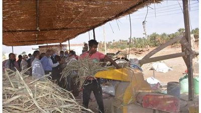 محافظ الوادي الجديد يتابع مشروع تدوير مخلفات النخيل بالراشدة