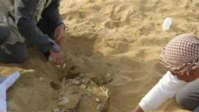 الأمن يكشف حقيقة خطف الأطفال وذبحهم لفتح المقابر الأثرية بالجيزة