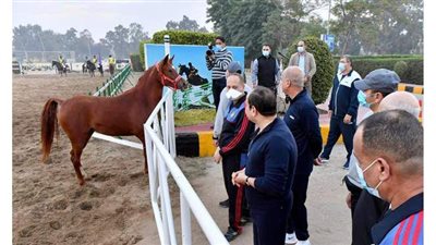 السيسي لطلاب الكليات العسكرية: لازم تتعلم إنك تتكلم وتناقش بعد تفكير