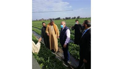 مزارع يتسبب في نشر نظم الري الحديثة في 1500 فدان مجاورة له بعد نجاح تجربته