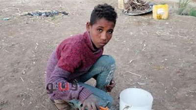 طفل العقارب بالصعيد.. حكاية عبد الله و