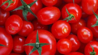 أسعار الطماطم اليوم في سوق الجملة 2020/12/13