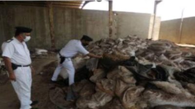 ضبط مصنعين بداخلهما 26 طن مواد غذائية وبلاستيكية مغشوشة بالقليوبية
