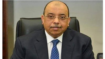 محمود شعراوى: صندوق التنمية المحلية يمول 1585 مشروعا