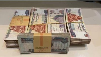 ضبط محاولة تهريب كمية من النقد بحوزة راكب في مطار القاهرة