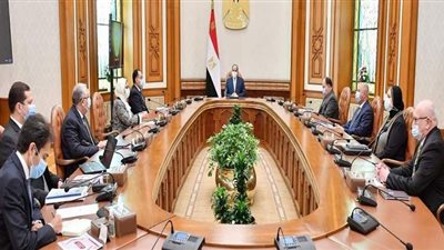 السيسي يتابع إنشاء معامل فحص مركزية نموذجية بالموانئ على مستوى الجمهورية