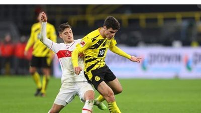 دورتموند يطيح بمدرب الفريق فافر