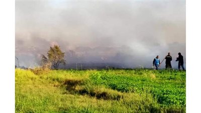 الدفاع المدني يكافح حريقا اندلع بمزارع نخيل في الوادي الجديد