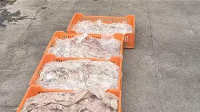 إعدام كميات من المواد الغذائية مجهولة المصدر فى الإسكندرية