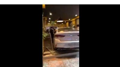 سعودية تقتحم مطعما بسيارتها في مدينة جدة | فيديو