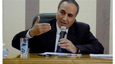 عبد المحسن سلامة: قطاع الطاقة أداة لتحقيق التنمية المستدامة في مصر