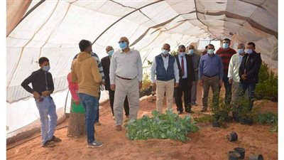 محافظ الوادي الجديد يتفقد مشروع الصوب الزراعية وسوق القرية بالشيخ مرزوق