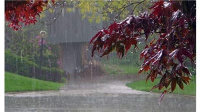 الري تتوقع تساقط أمطار متوسطة على السواحل الشمالية غداَ