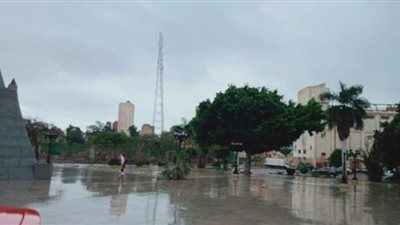 ٦ صور ترصد سقوط الأمطار على الإسكندرية