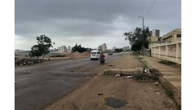 أمطار خفيفة على محافظة البحيرة |  صور