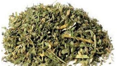 النيابة ترسل عينة من الفودو ومشتقاته للمعمل الكيميائي في البساتين