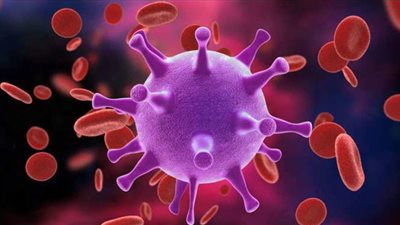 دورة حياتها داخل جسم الإنسان.. كل ما تريد معرفته عن الفيروسات