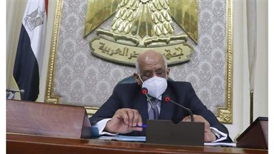 علي عبد العال: منتدى غاز المتوسط 