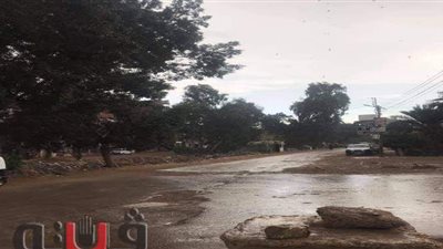 أمطار متوسطة ورياح محملة بالأتربة على بعض مدن الغربية | صور