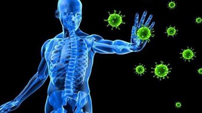 4 أنواع من الفيتامينات والمعادن تقوي الجهاز المناعي وتحمي من الفيروسات