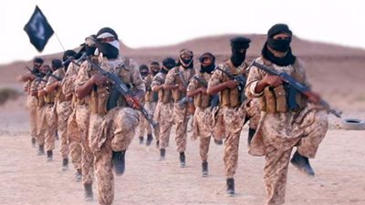 دراسة حديثة تكشف مصير تنظيم القاعدة في المنطقة