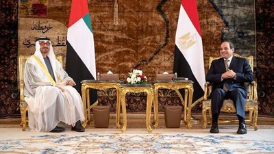 ولي عهد ابو ظبي يكشف تفاصيل مباحثاته مع الرئيس السيسي بالاتحادية | صور