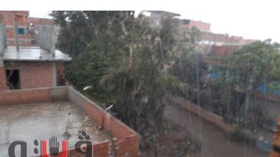 هطول أمطار غزيرة على مدن الغربية l فيديو