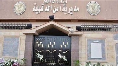 شاب يطعن نجل عمته بمطواة في الدقهلية بسبب الميراث