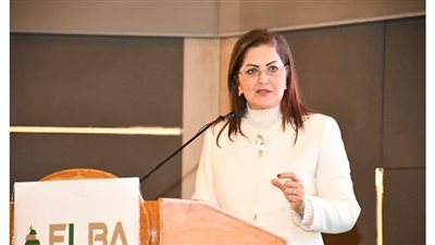 وزيرة التخطيط: مصر تحقق نموا في الناتج المحلي بنسبة 3.6%