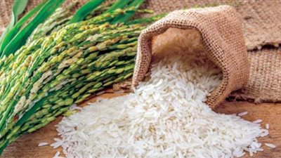 تفسير حلم الأرز في المنام وعلاقته بالرزق الكثير وفعل الخير وتحقيق النجاح