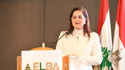 وزيرة التخطيط: تنفيذ 416 مشروعا في قطاع الكهرباء بتكلفة 95.6 مليار جنيه