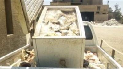 ضبط 25 طن نشا خام وأعلاف حيوانية مغشوشة بالغربية