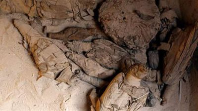 تحليل مومياء قرود عمرها 3300 عام لتحديد موقع 